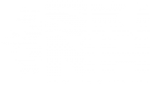 Ski NH